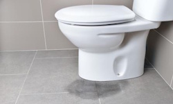 Toilet Repair Image